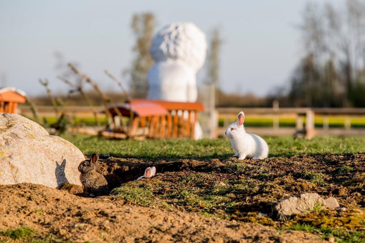 Baltas Gandras Otel Naisiai Dış mekan fotoğraf